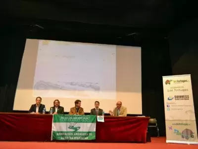 Guinness The Turtles