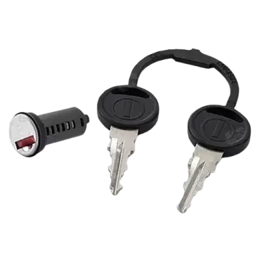 A Zadi lock cylinder plus keys, red model.