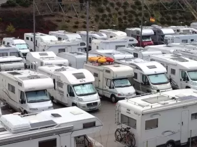 COLLECTING SIGNATURES