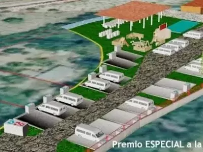 FROM MITORTUGA.ES WE WANT TO CONGRATULATE VIRUTAS ÁREA